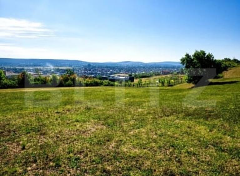 Teren Construcții intravilan de 10000 mp, în Unirii