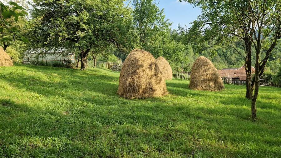Vand teren in Valea Doftanei - 3