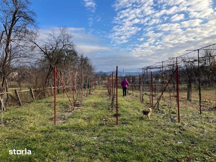 Teren de 1435 mp, în Someș-Odorhei
