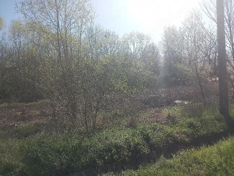 Casă cu 3 camere cu Teren 7300 Mp în Băleasa