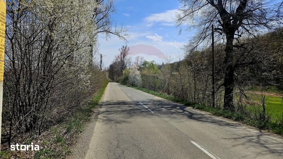Teren de 10000 mp, în Vânători-Neamț