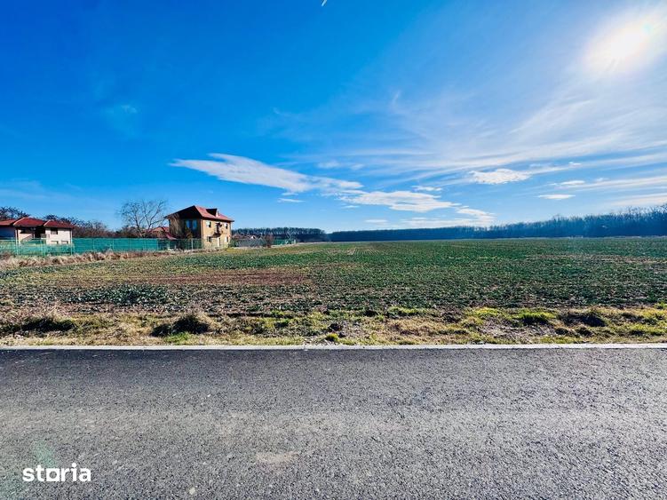 Teren de 1600 mp, în Snagov