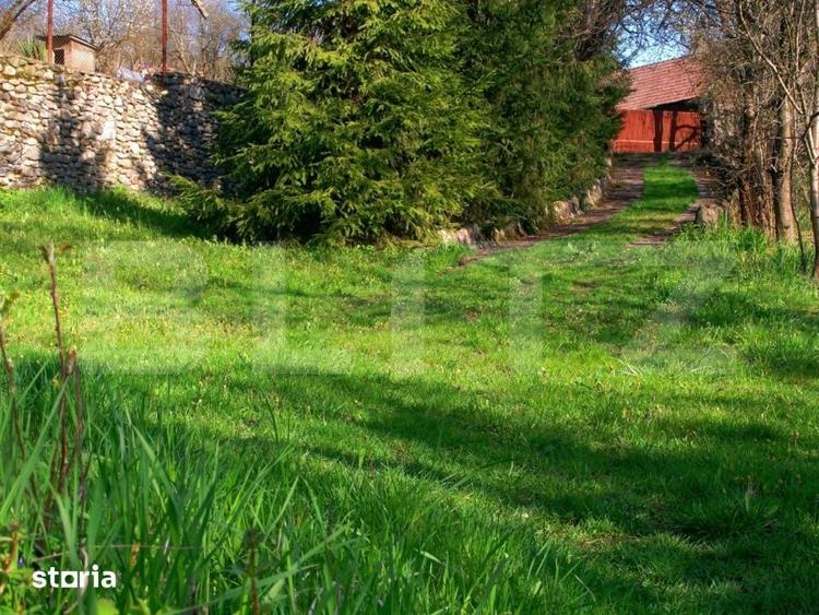 Teren de 14000 mp, în Mihai Viteazu