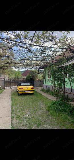 Vand casa cu teren de 18 arii in Sanpetru Almasului - 9