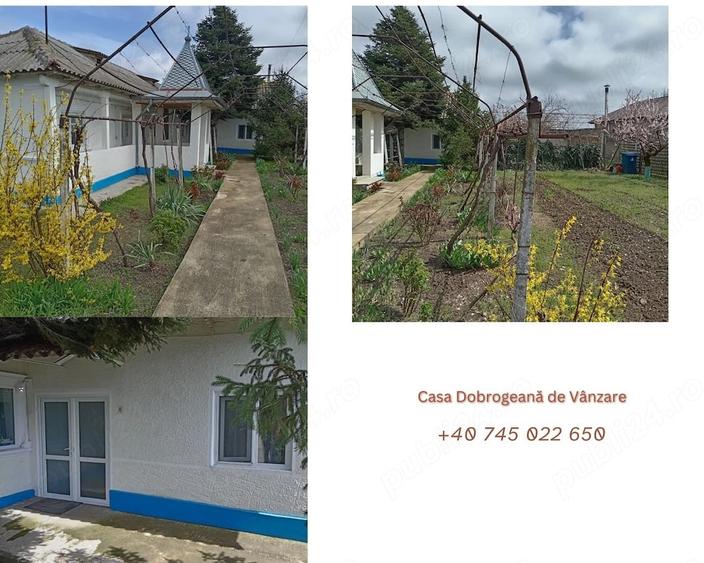 Casă cu 4 camere cu Teren 1593 Mp în Agighiol