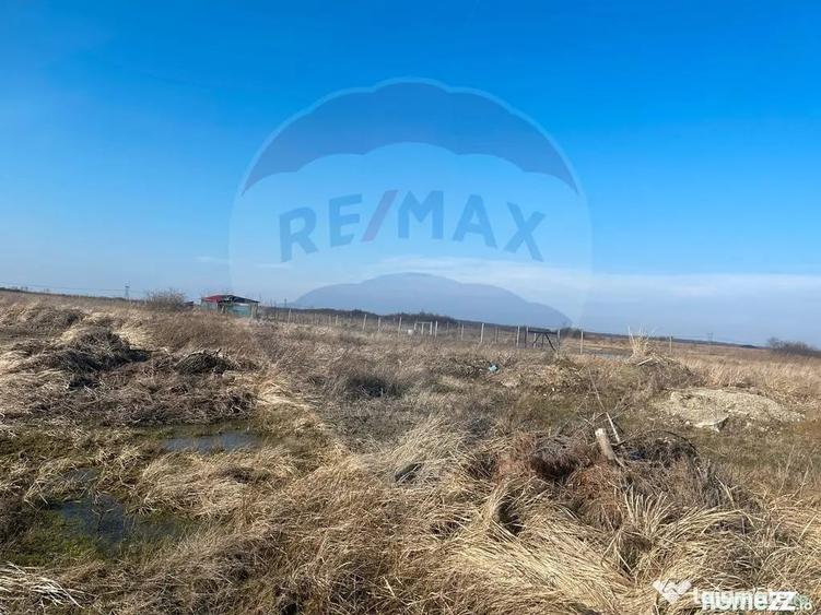 Teren de 1632 mp, în Cihei