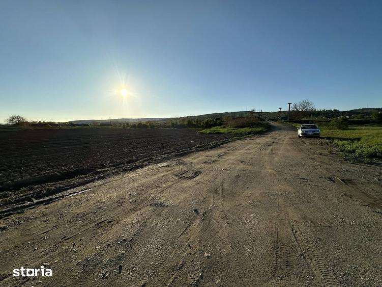 Teren de 10000 mp, în Târnăveni