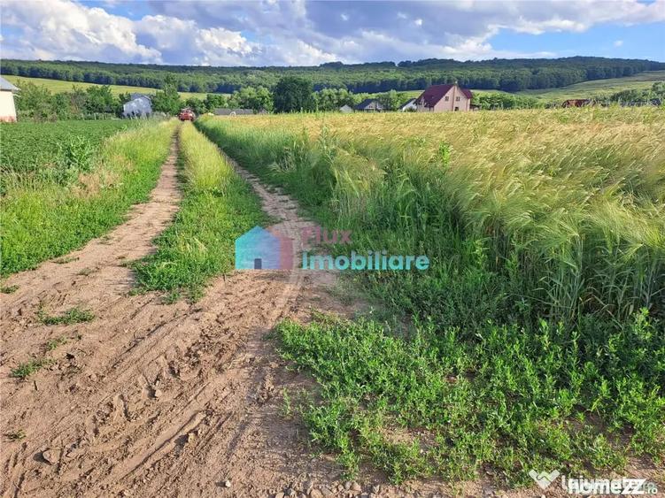 Teren de 4500 mp, în Reuseni
