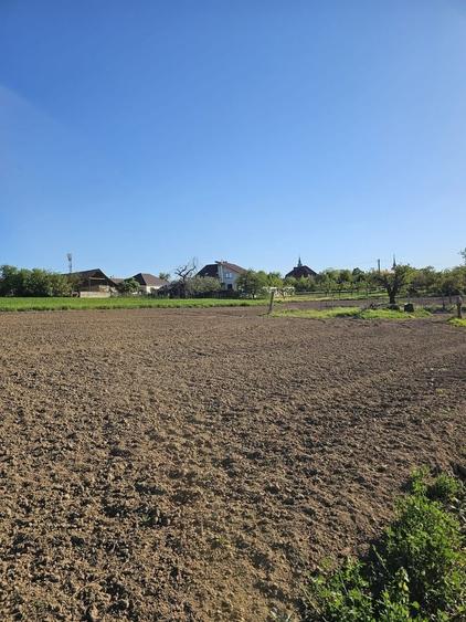 Teren agricol intravilan de 5000 mp, în Cetariu