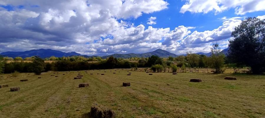 Teren agricol extravilan de 9300 mp, în Bran