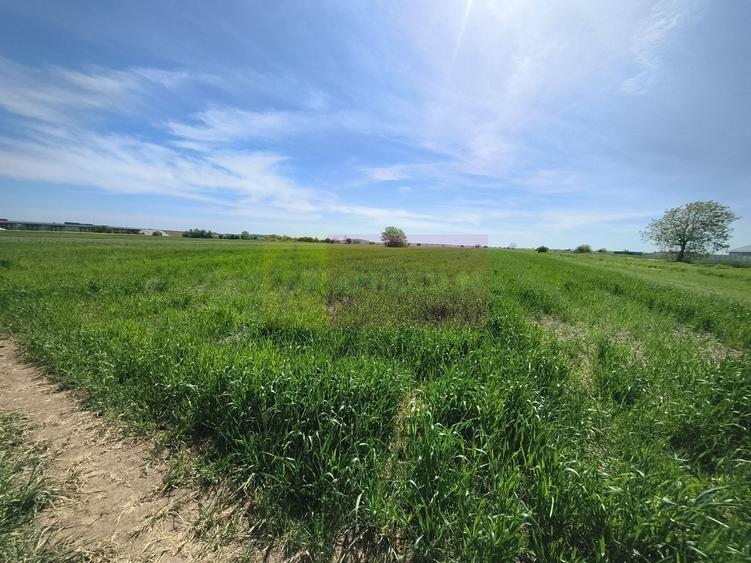 Teren Construcții intravilan de 2200 mp, în Dărăști-Ilfov