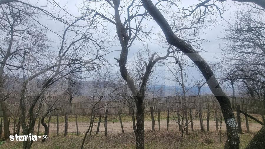 Teren de 3781 mp, în Izvoarele