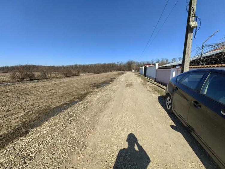 Casa 30km de bucuresti Cascioarele Giurgiu 2100mp - 8