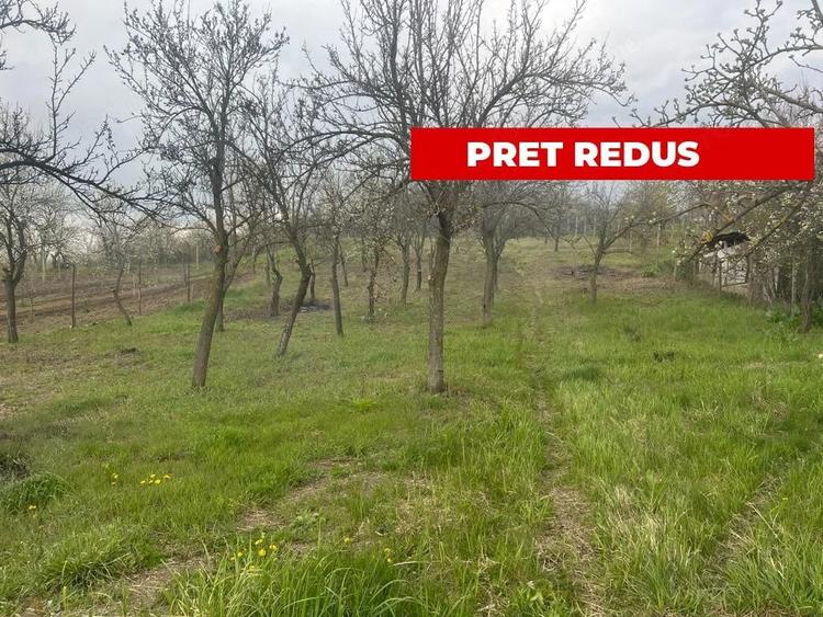 Teren de 2200 mp, în Călinești