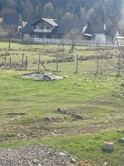 Teren de 950 mp, în Colibița