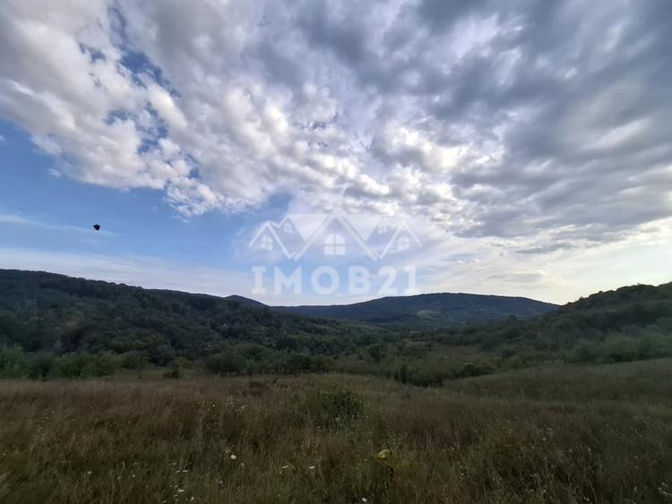 Teren agricol extravilan de 161899 mp, în Șoimari