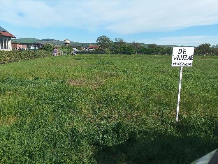 Teren de 1609 mp, în Teiu