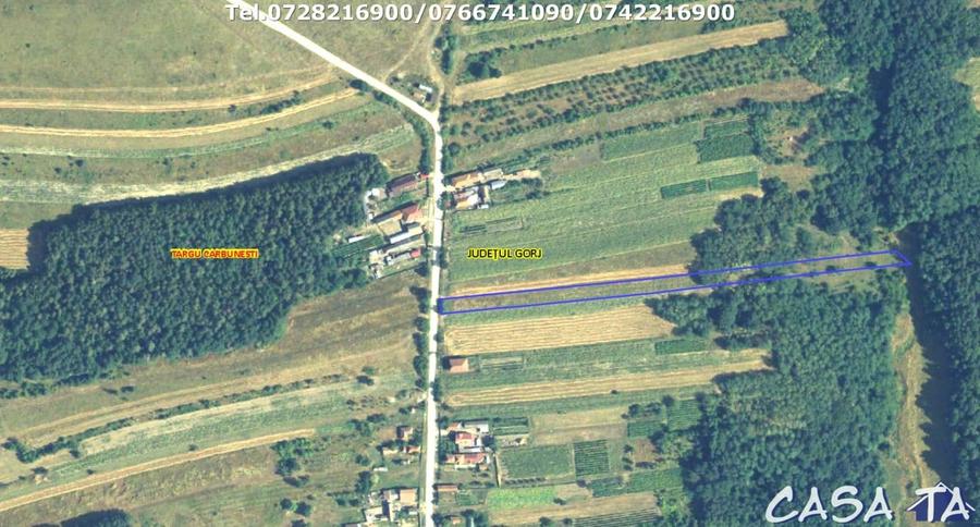 Teren Construcții intravilan de 4511 mp, în Floreșteni
