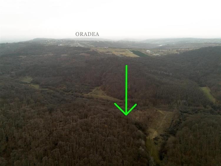 Teren Construcții intravilan de 1809 mp, în Săldăbagiu de Munte