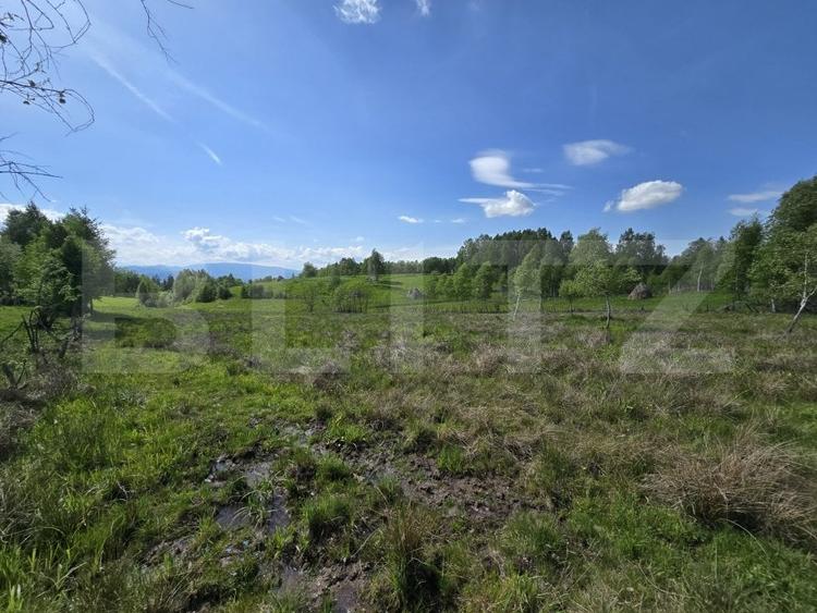 Teren agricol extravilan de 13103 mp, în Dealu Negru