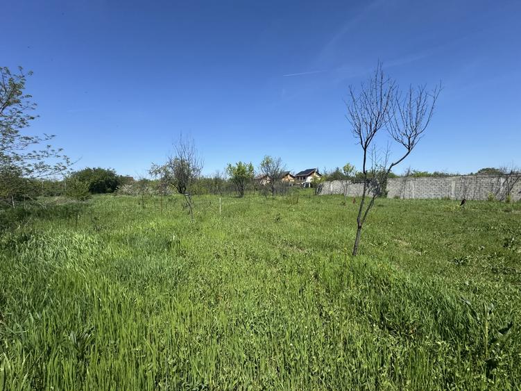 Teren Construcții intravilan de 2775 mp, în Clinceni