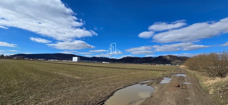 Teren agricol extravilan de 6607 mp, în Albești