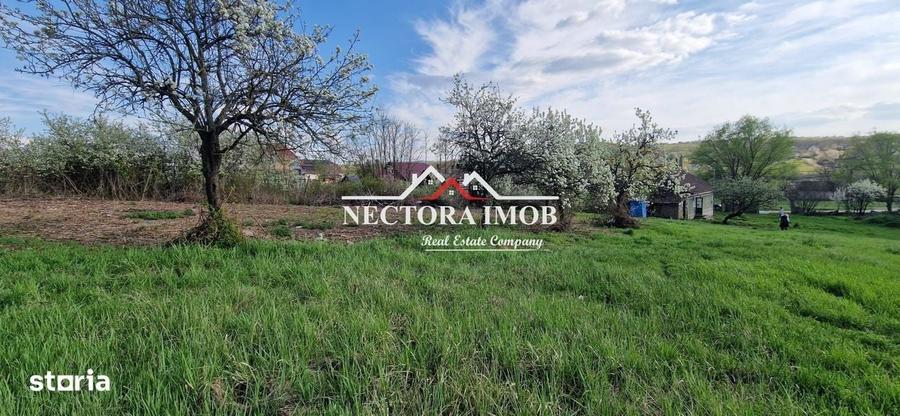 Casă cu 2 camere cu Teren 951 Mp în Paleu