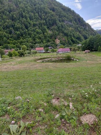 Teren Construcții intravilan de 9600 mp, în Bulz
