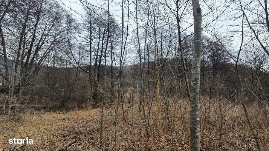 Teren de 2800 mp, în Sovata