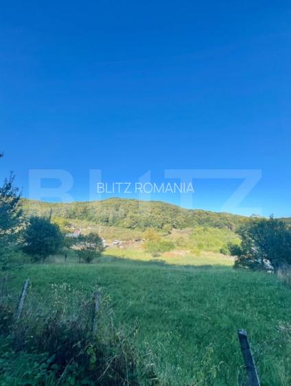Teren de vanzare 16 ari, zona Drumul Dumitrei Noi