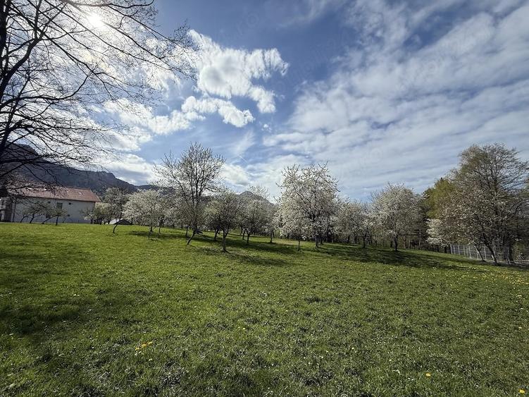 Teren de 763 mp, în Predeluț