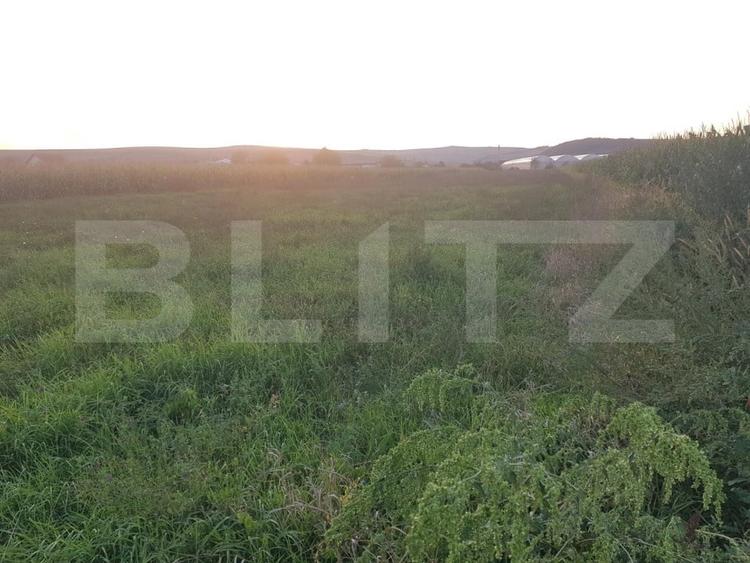 Teren Construcții intravilan de 5800 mp, în Jucu de Mijloc
