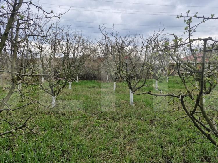 Casă individuală cu 2 camere cu Teren 2700 Mp în Dorohoi