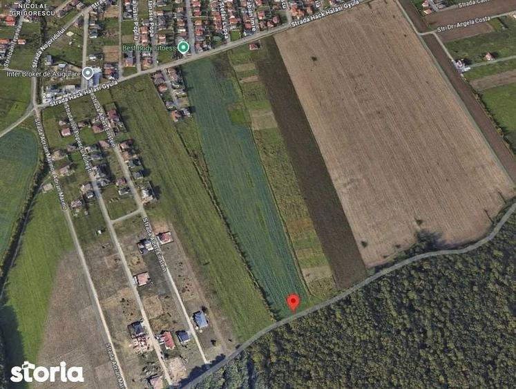 Teren de 2000 mp, în Calea Aradului