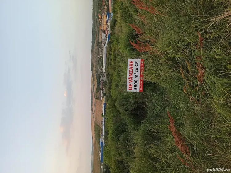 Teren de 5800 mp, în Central