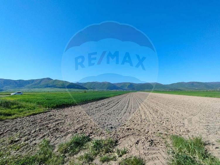 Teren agricol extravilan de 1724 mp, în Gura Râului