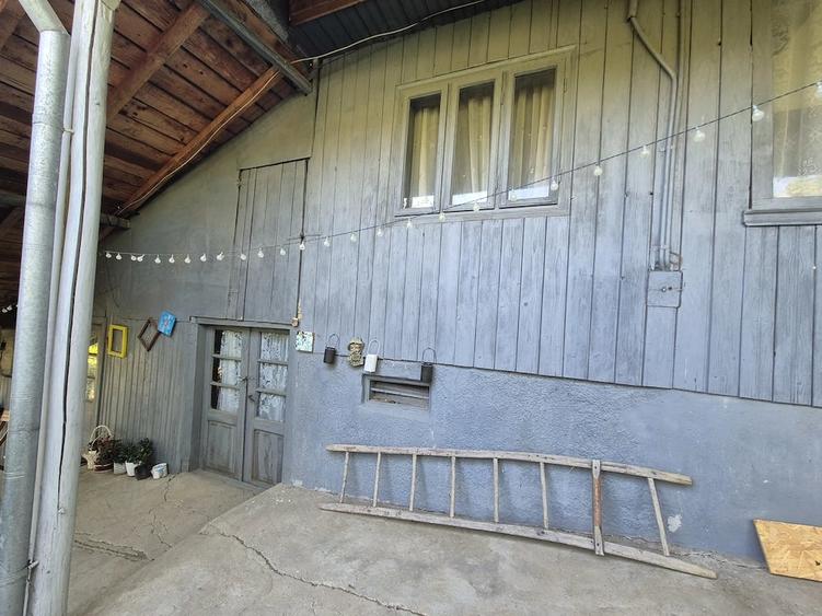 Casă cu Teren 5000 Mp în Pleșești (Podgoria)