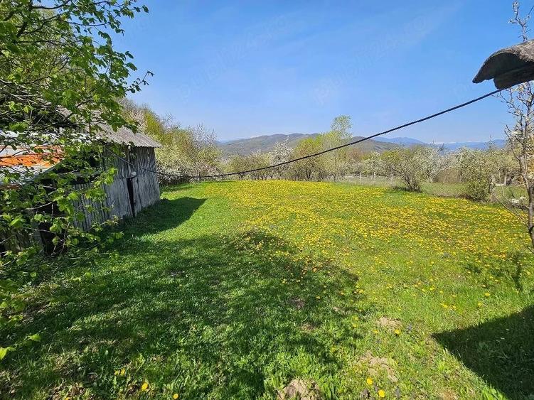 Teren de 3000 mp, în Dăești