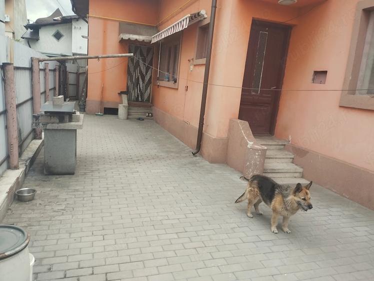 Casă cu 3 camere cu Teren 164 Mp în Central