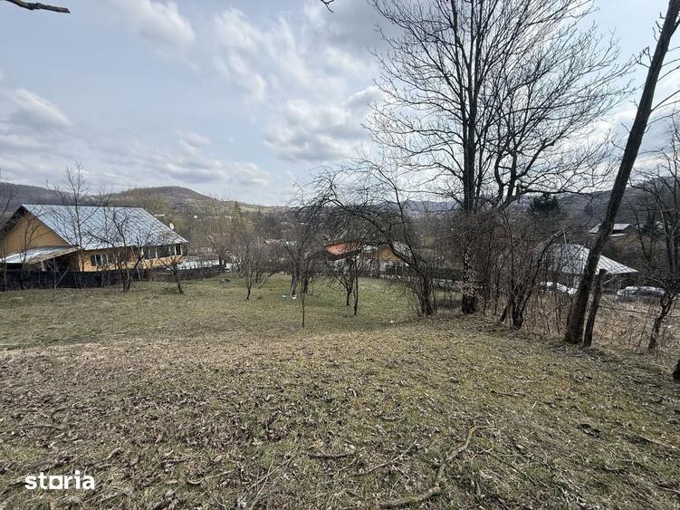 Teren de 6040 mp, în Provița de Jos
