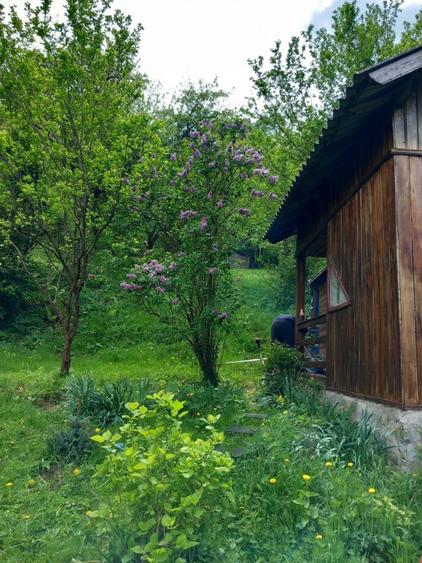 Teren Construcții intravilan de 5000 mp, în Poseștii-Pământeni