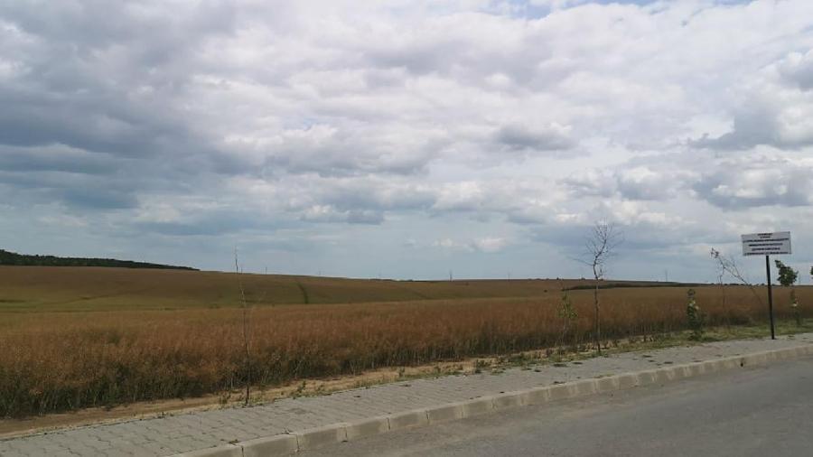 Teren agricol extravilan de 3000 mp, în Valu lui Traian