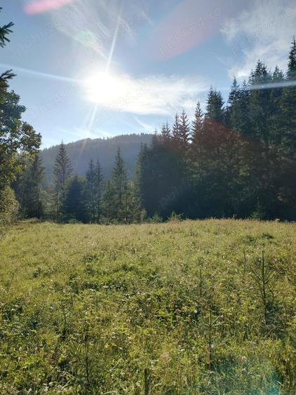 Teren de 3800 mp, în Capu Corbului