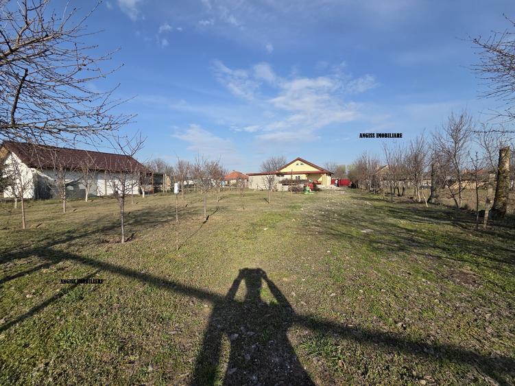 Casă cu 3 camere cu Teren 1259 Mp în Mihail Kogălniceanu