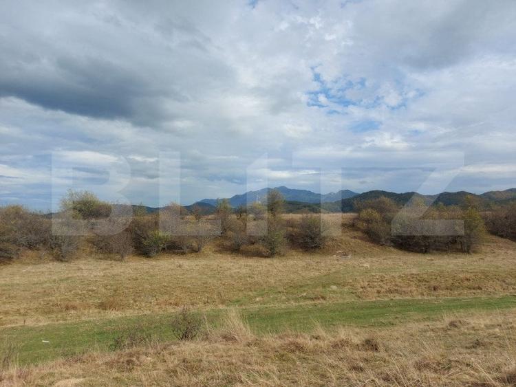 Teren Construcții extravilan de 10000 mp, în Sud-Vest