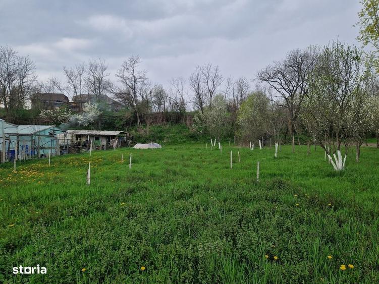 Spațiu comercial, în Moțăieni