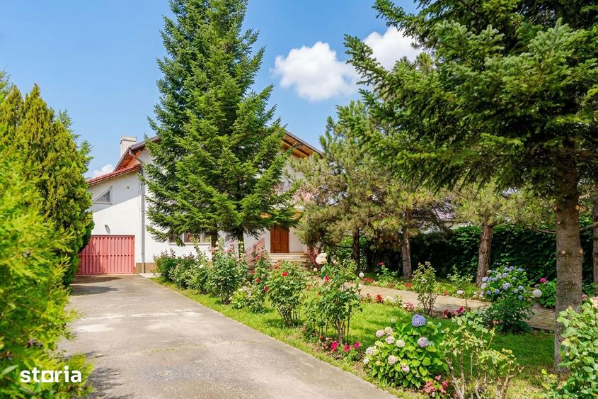 Vanzare vila cu piscina Snagov - Ciofliceni, teren 2649mp - 8