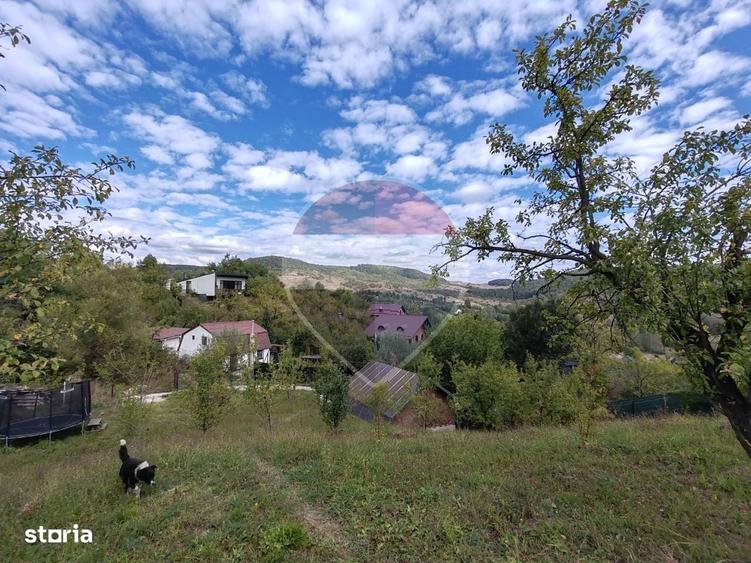 VANZARE Teren intravilan in Provita de Jos - 4