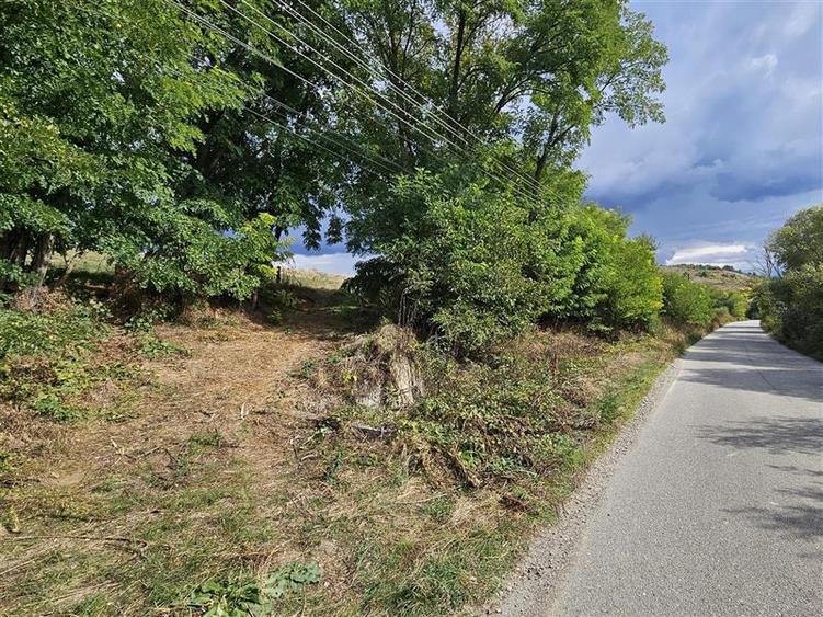 Teren intravilan de 5616 mp, în Secuieni