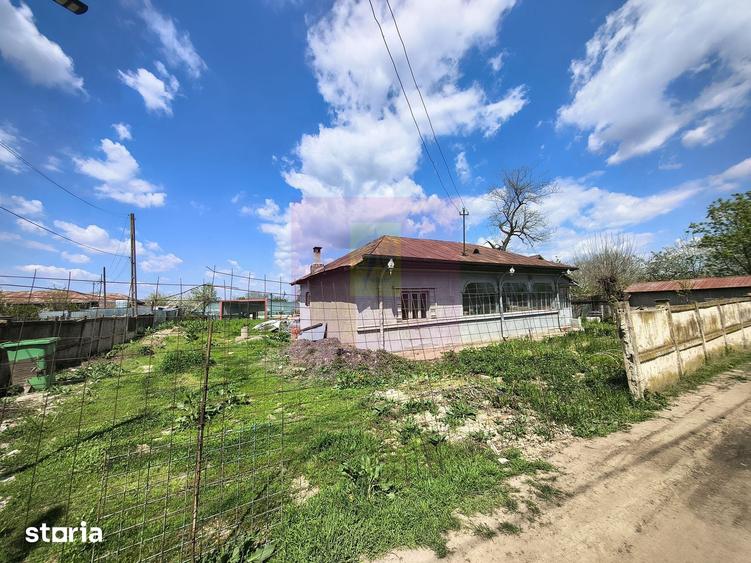 Teren de 975 mp, în Cernica
